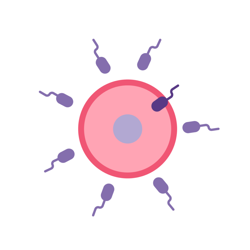 Female Infertility